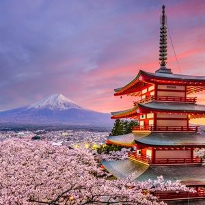 Meet your Posher, Cheyenne